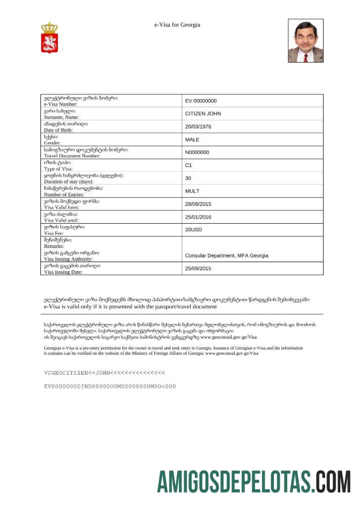 em branco Visto Georgia E em modelo Word e PDF